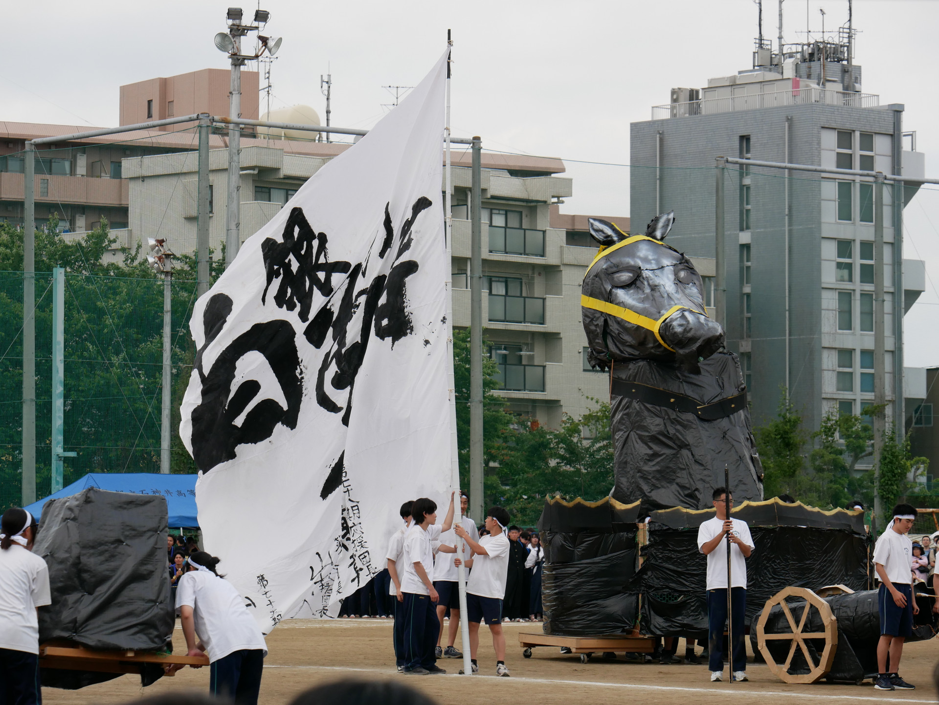 画像 (10)